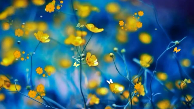 ✿⊱•╮  Жълти цветя  ...  (music by Tim Janis) ✿⊱•╮