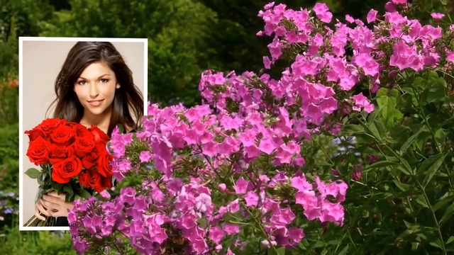 На 8 Марта  -  Дарите женщинам цветы