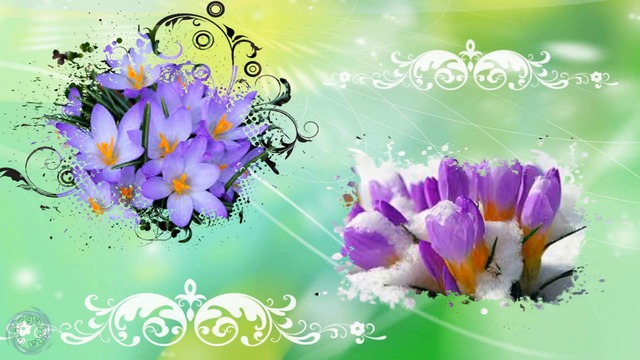 А в душе Весна. Красивые весенние цветы!