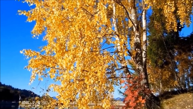 MUSIC RELAX  -  AUTUMN