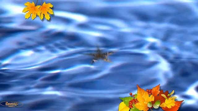 БУДЕТ ЖИВА РОССИЯ - БУДЕТ ЖИТЬ КОСТРОМА!