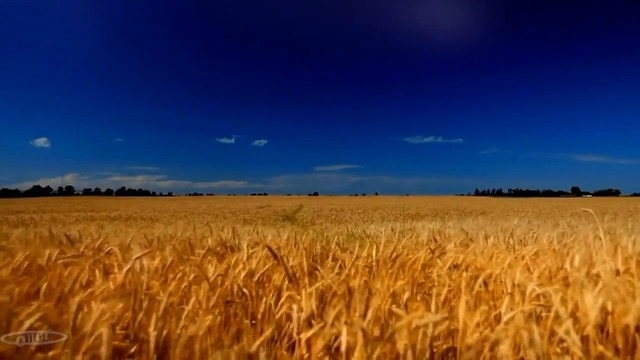 В. ТУМАНОВ & П. ЯШКОВ  -   ЗА ТОГО ПАРНЯ