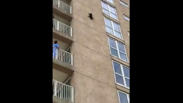 ЕНОТ СЕ СПАСЯВА ОТ НЕОБИЧАЙНА ЗА НЕГО СИТУАЦИЯ