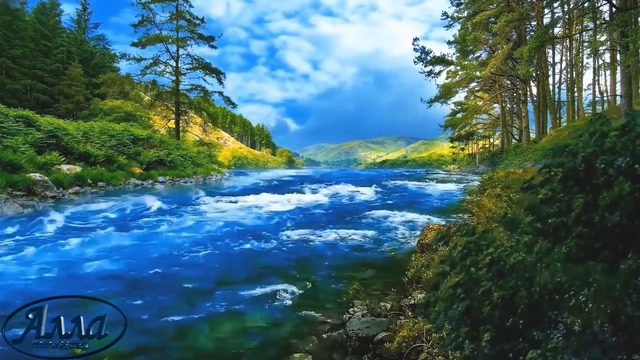 МЕЛОДИЯ СЕРГЕЯ ЧЕКАЛИНА