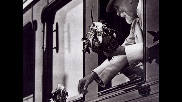 Fith No More - She Loves Me Not