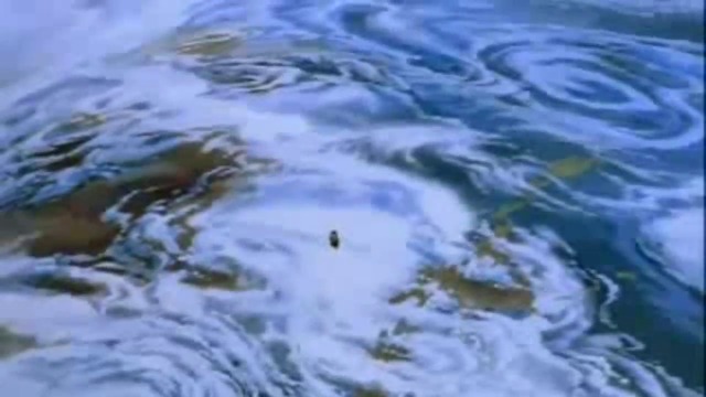 Акира (1988) (английско аудио и български субтитри) (част 12)