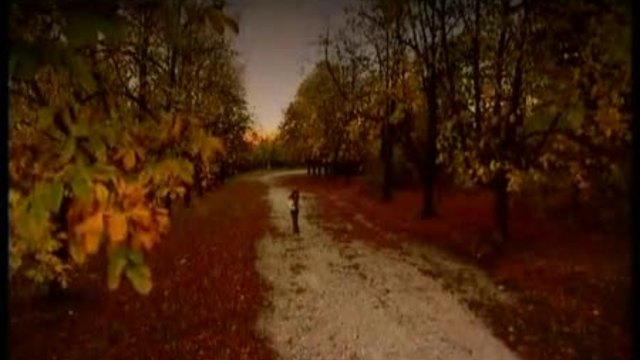 ИВАНА-СКИТАМ СЕ