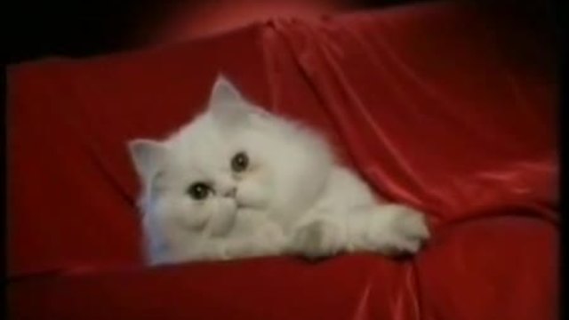 Maria - Jivota Si Teche