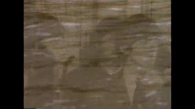 Beatles - In My Life