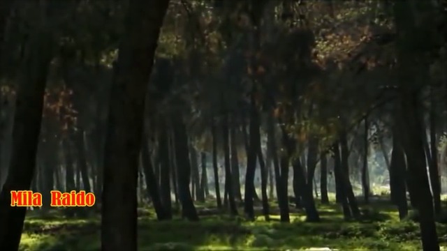 ШАНСОН Новинка и ХИТЫ 🍁 Вальсирует ОСЕНЬ 🍁🌞🍁 Russian LOVE Songs Playlist