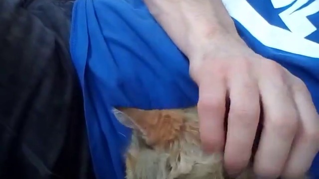 10000000_163157671022030_520283035338276864_n