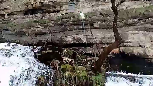 10000000_164246377567075_569380099284008960_n