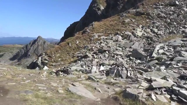 10000000_177419829724811_531752908711002112_n