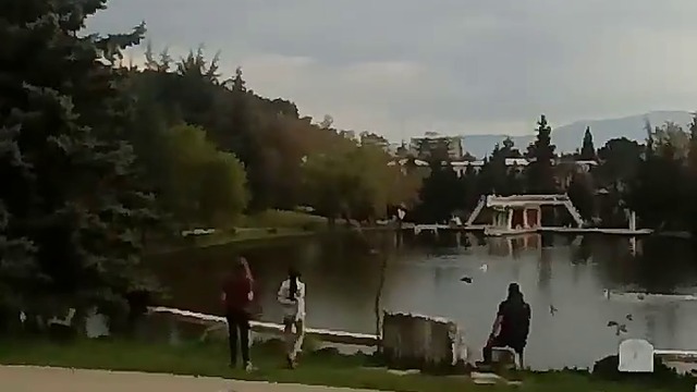 10000000_186644835291046_2234285899124834304_n