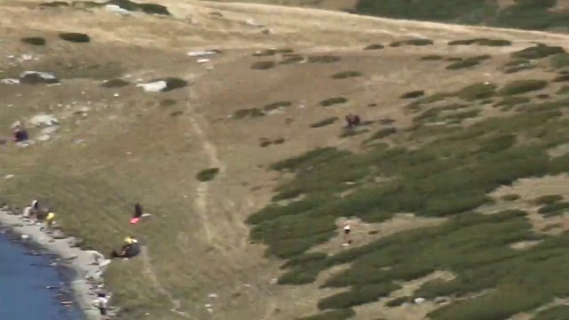 10000000_190268375093003_3091447464578777088_n