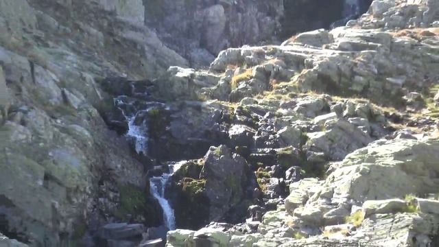 10000000_343274236184970_8131009940488716288_n