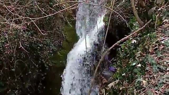 10000000_350047185492048_3085972562392383488_n