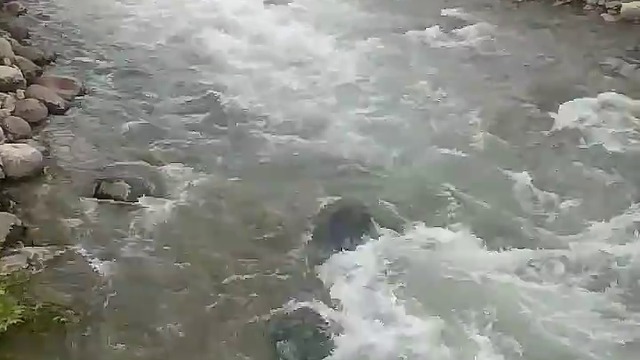 10000000_455287074924368_7610739218821677056_n