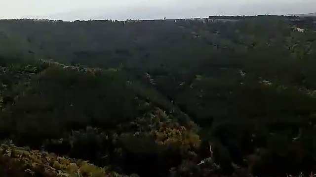 10000000_480033109028938_7346797325110476800_n