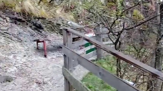 10000000_555375288166271_1663596513420378112_n