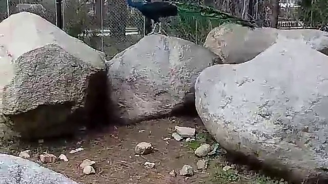 10000000_580212542316371_4363491759745925120_n