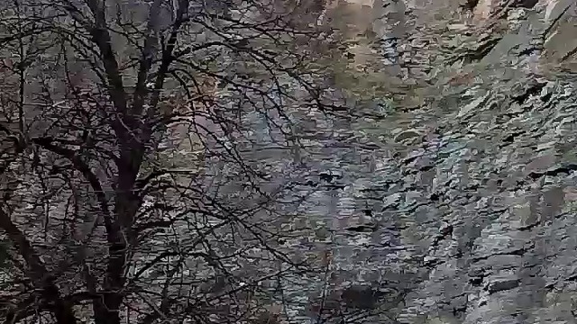 10000000_1251311371635924_4398963525276401664_n