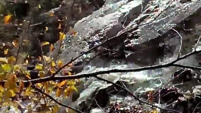 10000000_1319314908214185_8157610657227735040_n