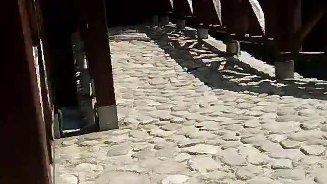 10000000_1597845413677941_6322163070546214912_n