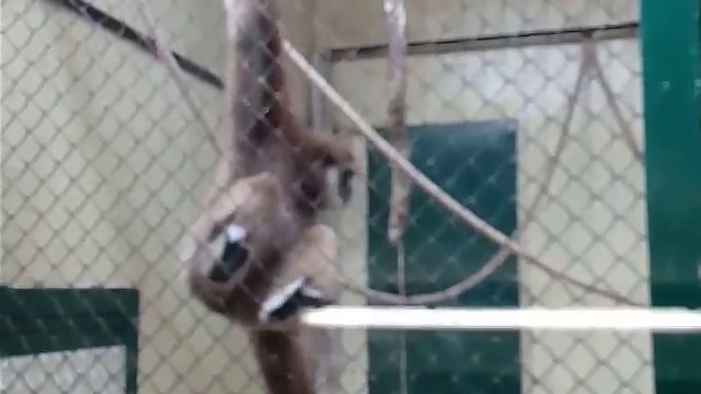 17605998_915362641934911_1548746330556334080_n