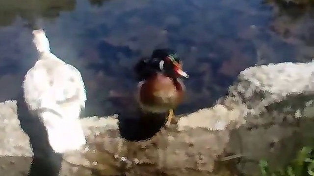 19028498_452679191765672_1076753948989194240_n