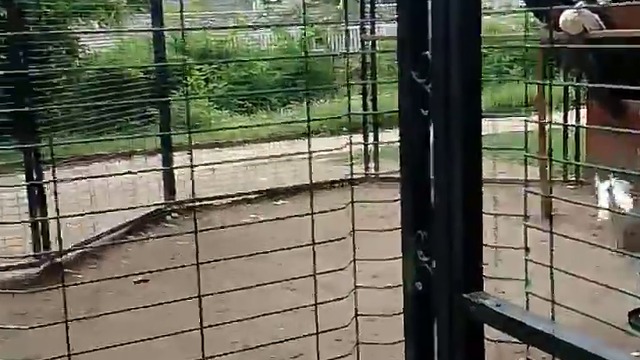 19028948_829970747179573_8744096142372896768_n