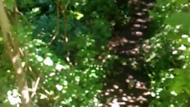 21035949_1395161363937915_4793454677981134848_n