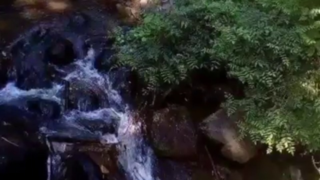 21236154_222596884937325_6689575631270707200_n