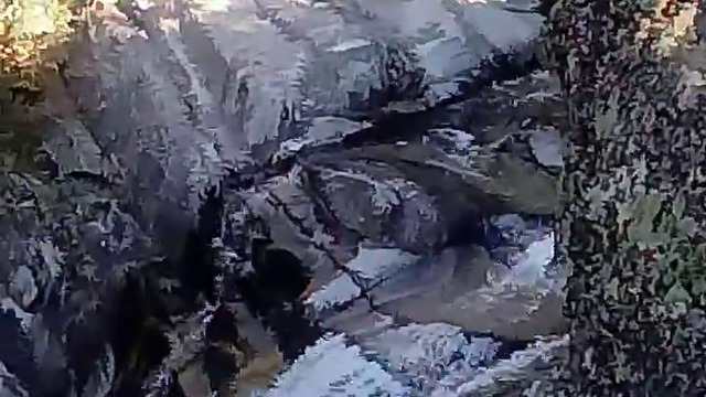 21669003_649023061969571_6571169765241389056_n