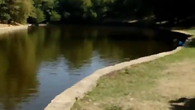 21786170_726045217581049_3374102316050284544_n