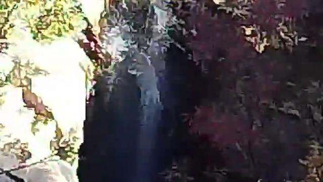 22750200_371690976605059_5279984497348050944_n