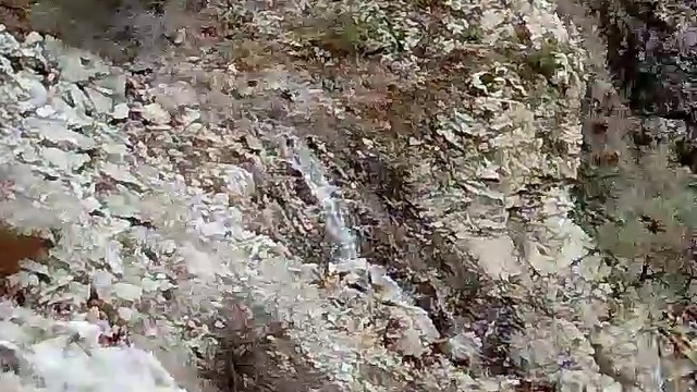 23681435_152315432070355_4896718177246904320_n