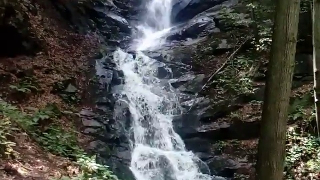 38155421_716975128637677_769583269573296128_n