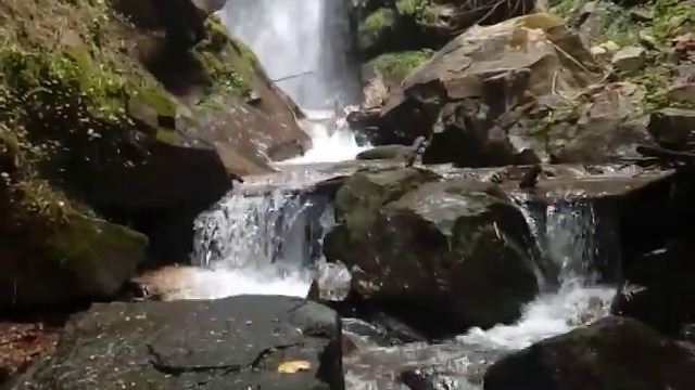 38264778_303022823588387_8234667747817029632_n