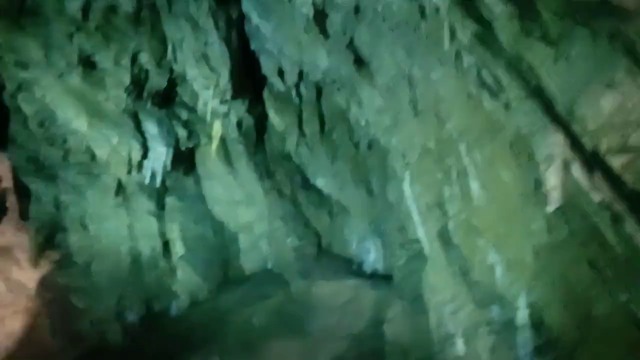 39885071_509657882832575_3371183069728866304_n