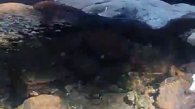 39904811_227885877885931_196431828226146304_n