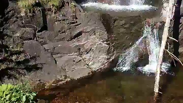 40019006_264852027482807_7494801391324495872_n