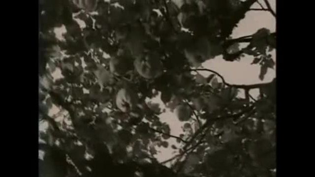 Enigma - Return to innocence