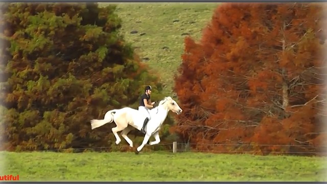Игорь Ашуров - Я на руках готов носить тебя  всю жизнь!