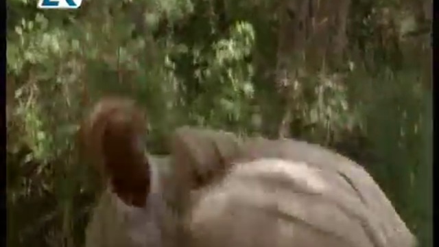 Bridge of Time  1997 -4