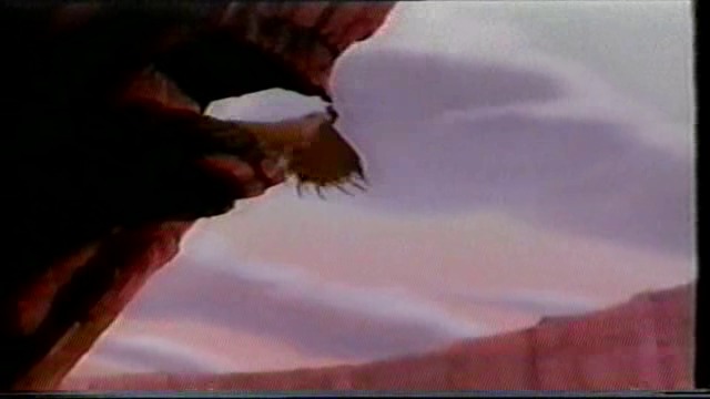 Чип и дейл спасителен отряд-01