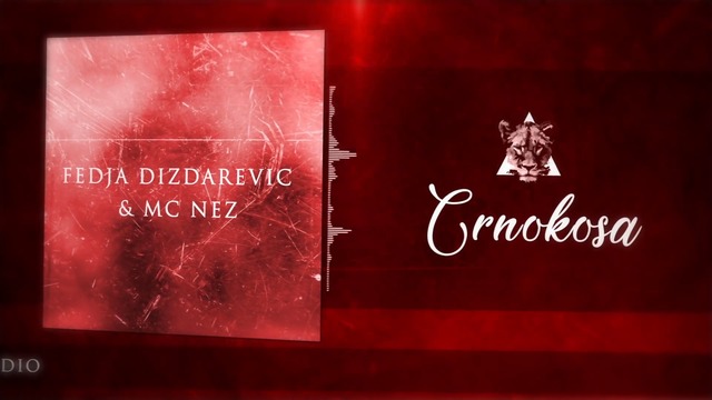 FEDJA DIZDAREVIC & MC NEZ - CRNOKOSA