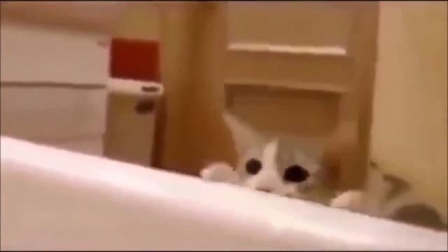 СПАСИТЕЛ......