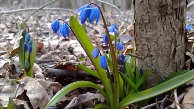 ХИТЫ 2018/2019! Королева, Курортный Роман, Душа моя~Ночная Птица!