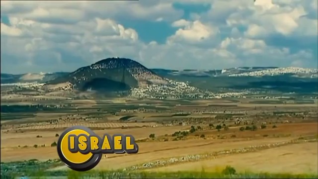 КОТКА РИБАР ИЛИ РИБНА КОТКА